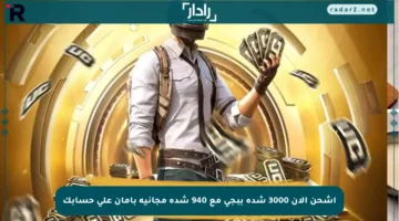 اشحن الآن 3000 شدة ببجي مع 940 شدة مجانية بأمان على حسابك